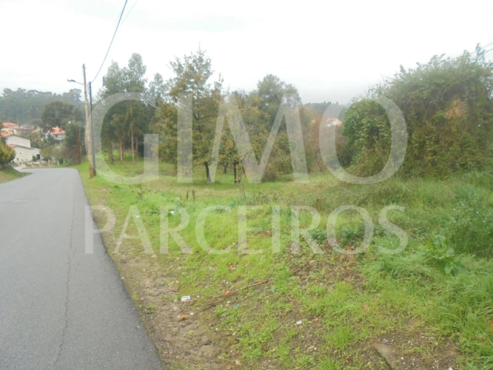 Terreno para Venda em Oliveira do Bairro Foto 3