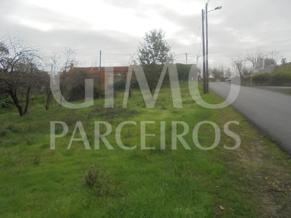 Terreno para Venda em Oliveira do Bairro Foto 4
