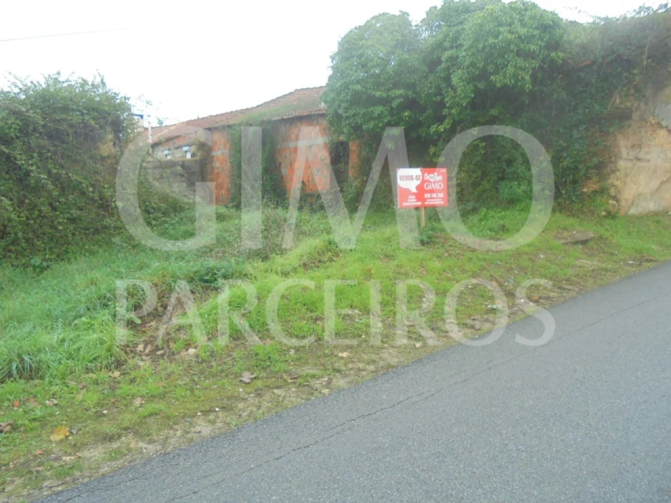 Terreno para Venda em Oliveira do Bairro Foto 5