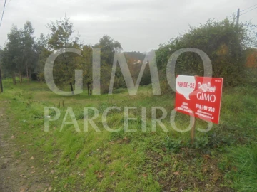Terreno para Venda em Oliveira do Bairro