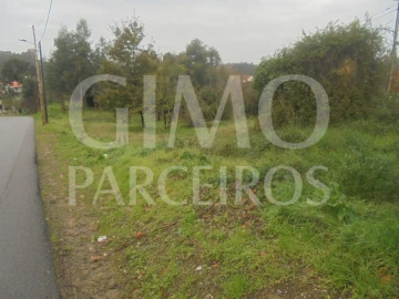 Terreno para Venda em Oliveira do Bairro