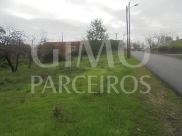 Terreno para Venda em Oliveira do Bairro