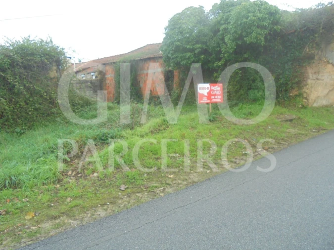 Terreno para Venda em Oliveira do Bairro Foto 5