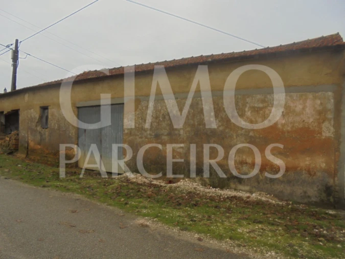 Terreno para Venda em Oliveira do Bairro Foto 6