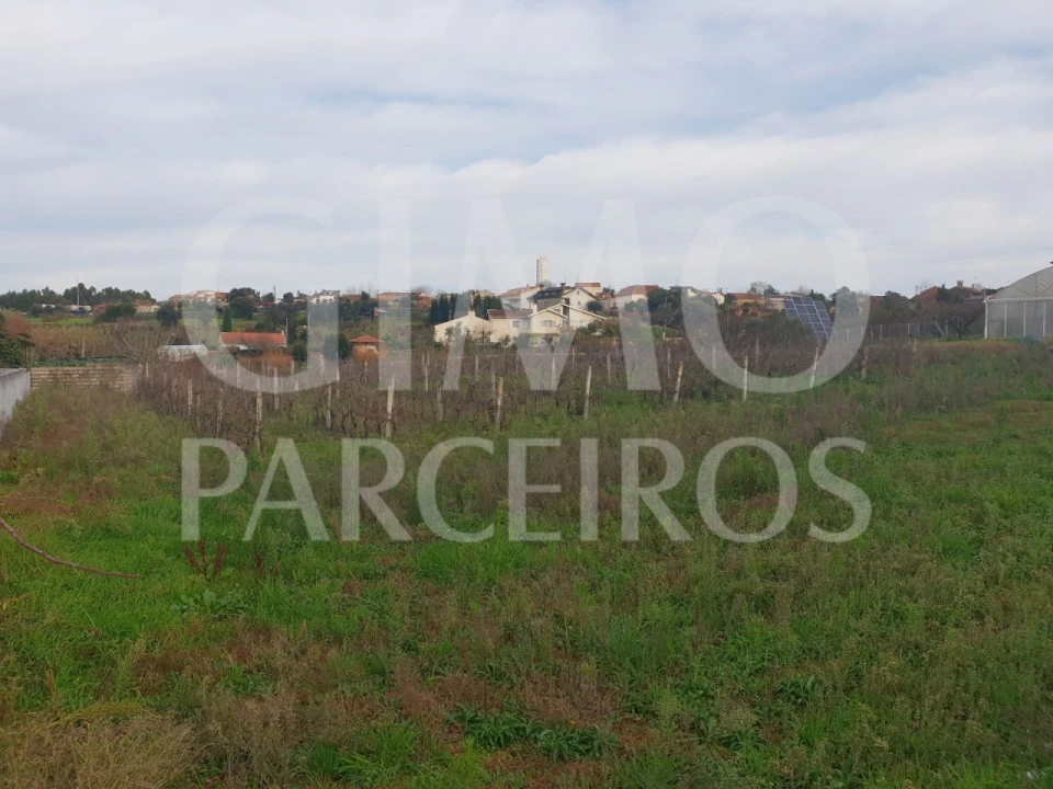 Terreno para Venda em Oliveira do Bairro Foto 6