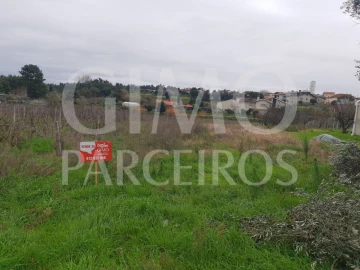 Terreno para Venda em Oliveira do Bairro