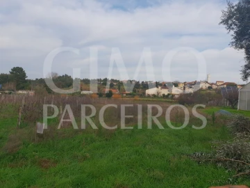 Terreno para Venda em Oliveira do Bairro