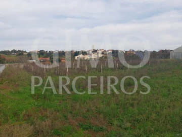 Terreno para Venda em Oliveira do Bairro