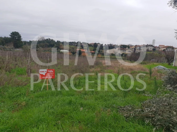 Terreno para Venda em Oliveira do Bairro Foto 3