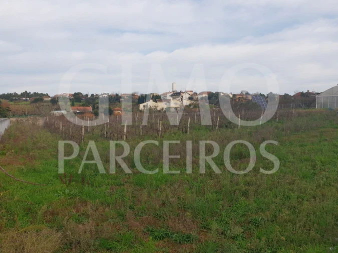 Terreno para Venda em Oliveira do Bairro Foto 6