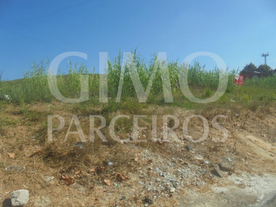 Terreno para Venda em Arcos e Mogofores Foto 3