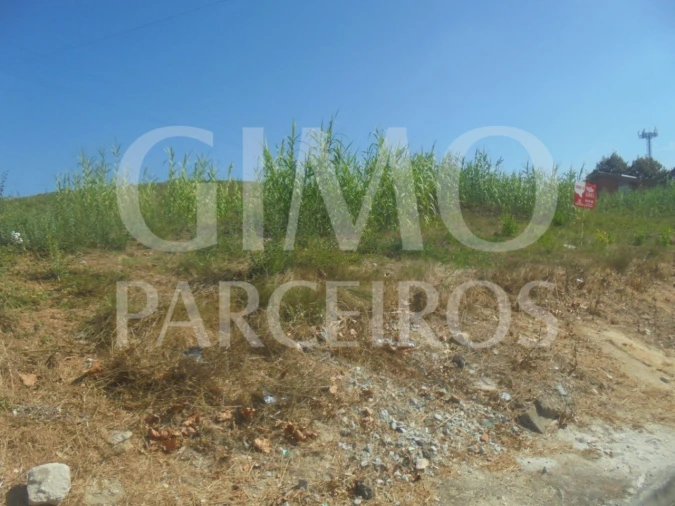Terreno para Venda em Arcos e Mogofores Foto 3