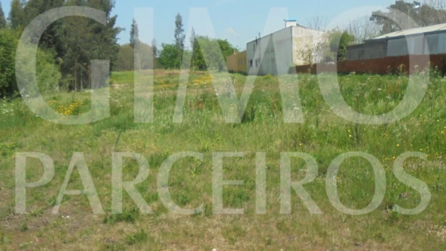 Terreno para Venda em Palhaça
