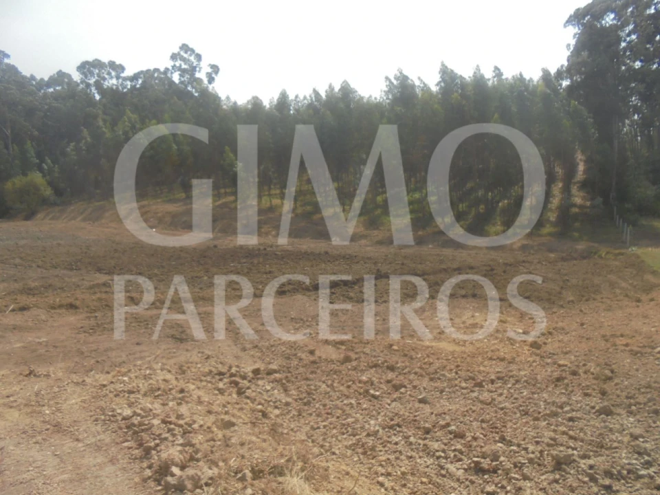 Terreno para Venda em Sangalhos Foto 2