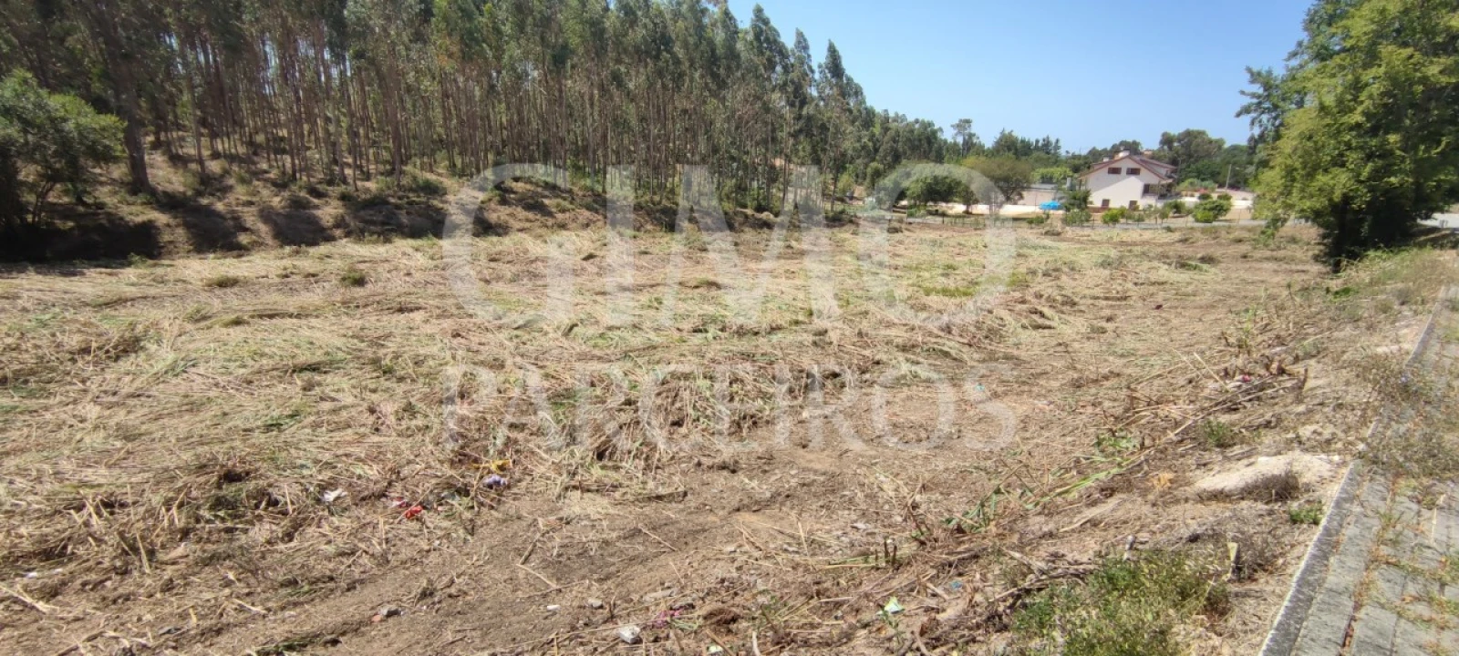Terreno para Venda em Sangalhos Foto 4