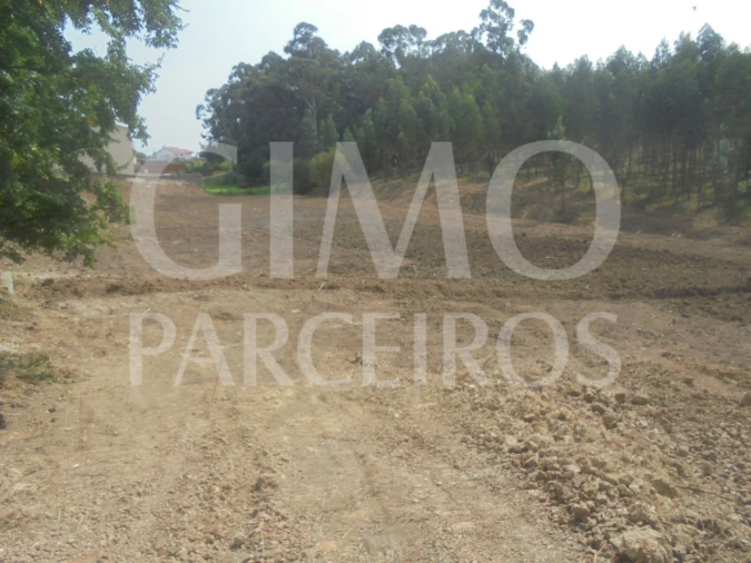 Terreno para Venda em Sangalhos Foto 3