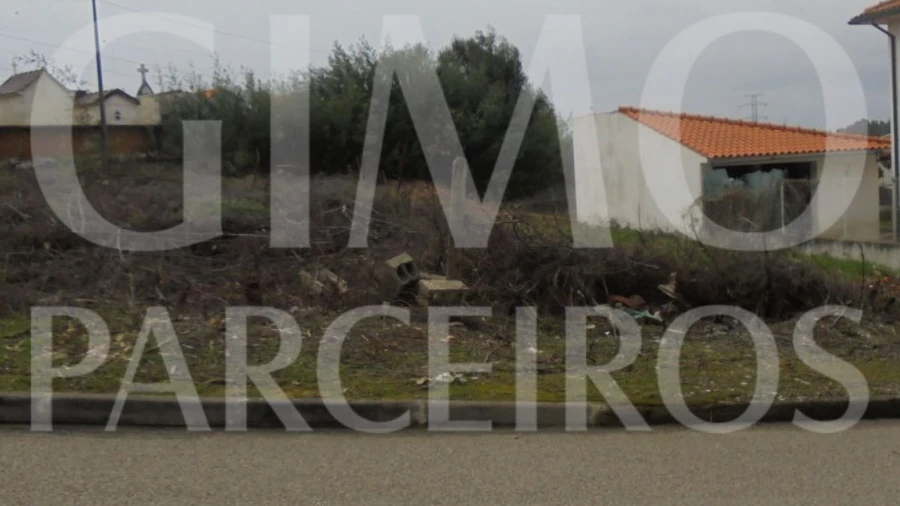 Terreno para Venda em Avelãs de Caminho