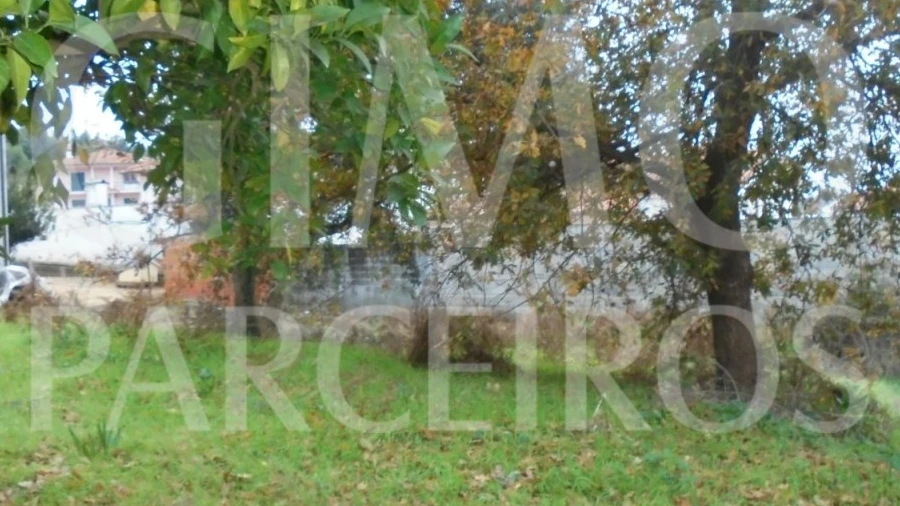 Terreno para Venda em Avelãs de Caminho
