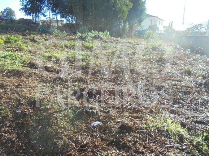 Terreno para Venda em Arcos e Mogofores Foto 4