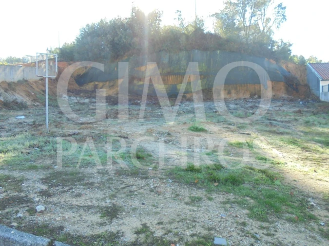 Terreno para Venda em Avelãs de Caminho Foto 1