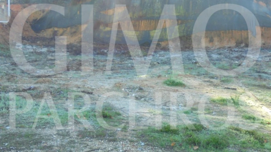 Terreno para Venda em Avelãs de Caminho