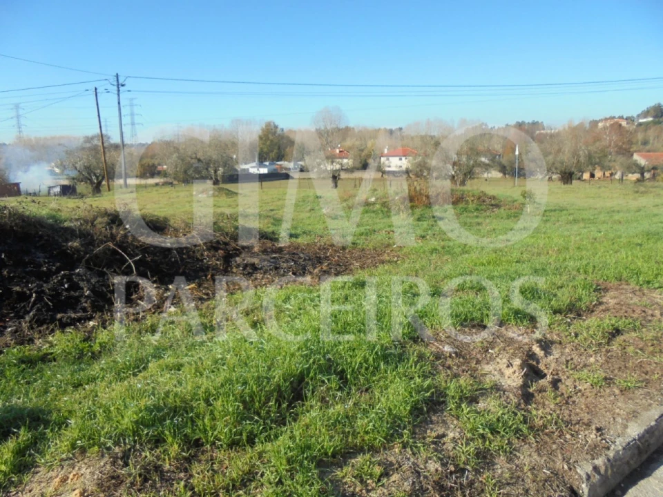 Terreno para Venda em Avelãs de Caminho Foto 1