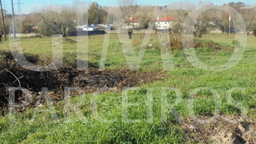 Terreno para Venda em Avelãs de Caminho