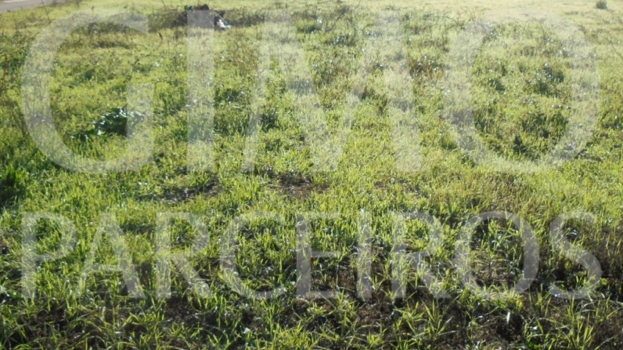Terreno para Venda em Avelãs de Caminho