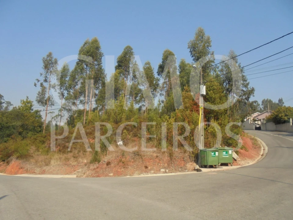 Terreno para Venda em Águeda e Borralha Foto 1