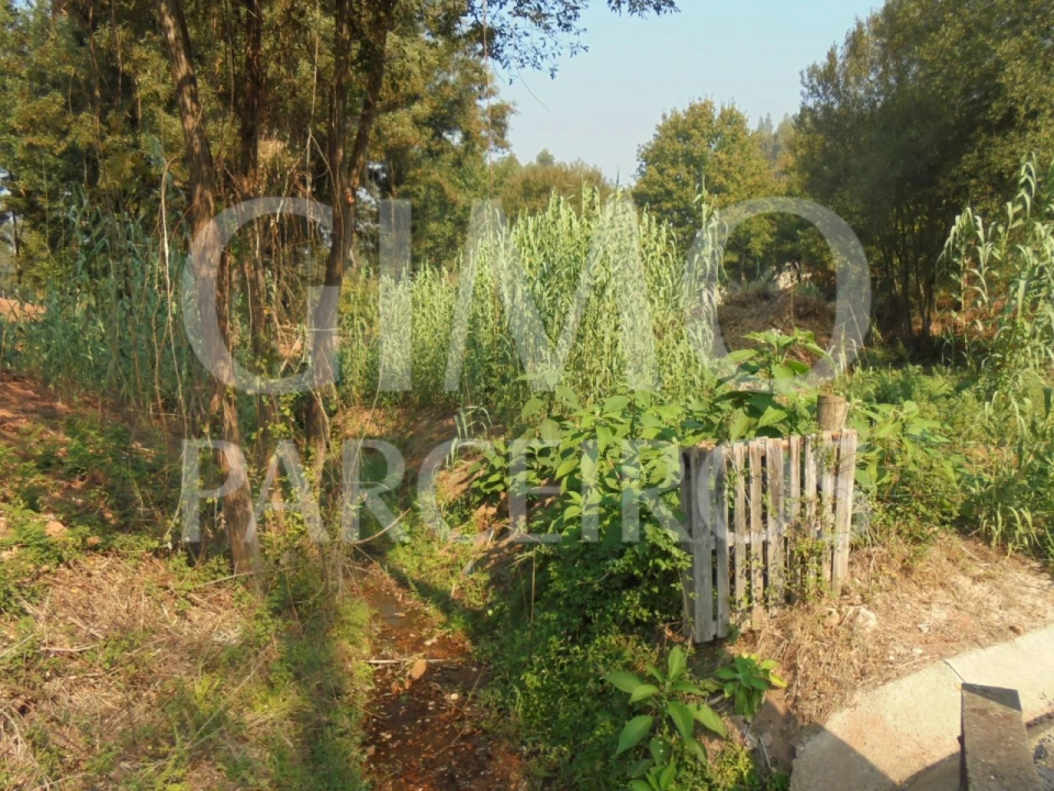 Terreno para Venda em Águeda e Borralha Foto 5