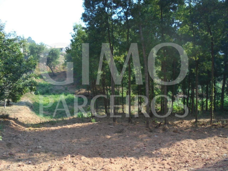 Terreno para Venda em Águeda e Borralha Foto 6