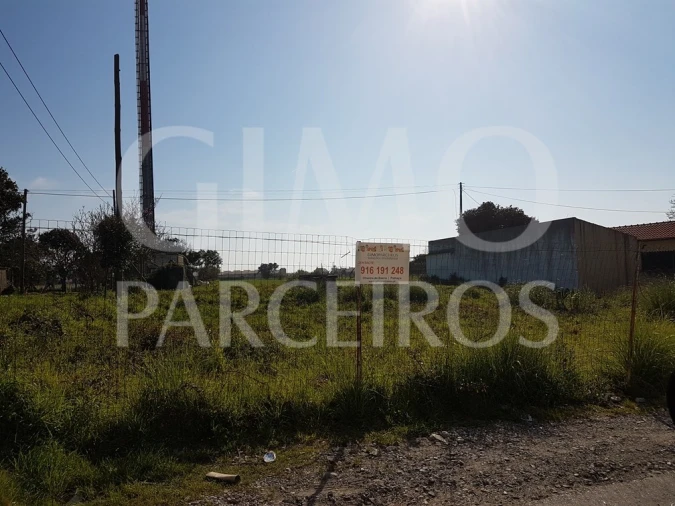 Terreno para Venda em Esgueira