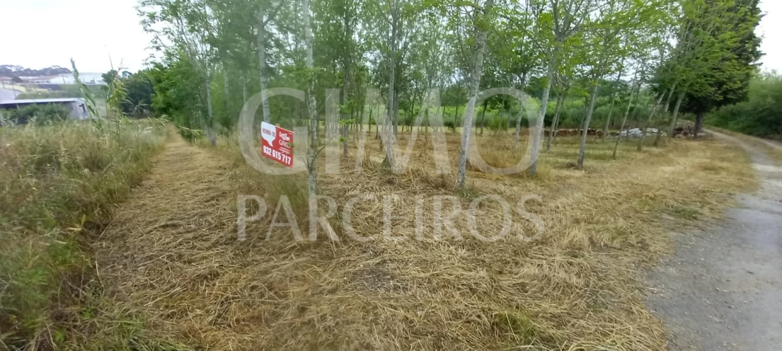 Terreno para Venda em Amoreira da Gândara, Paredes do Bairro e Ancas Foto 1