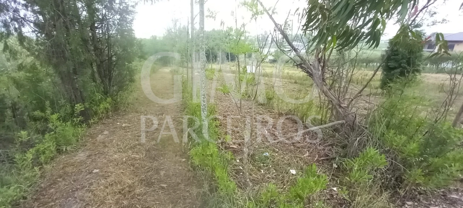 Terreno para Venda em Amoreira da Gândara, Paredes do Bairro e Ancas Foto 2