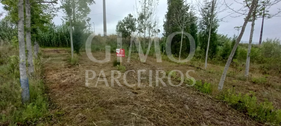 Terreno para Venda em Amoreira da Gândara, Paredes do Bairro e Ancas Foto 3