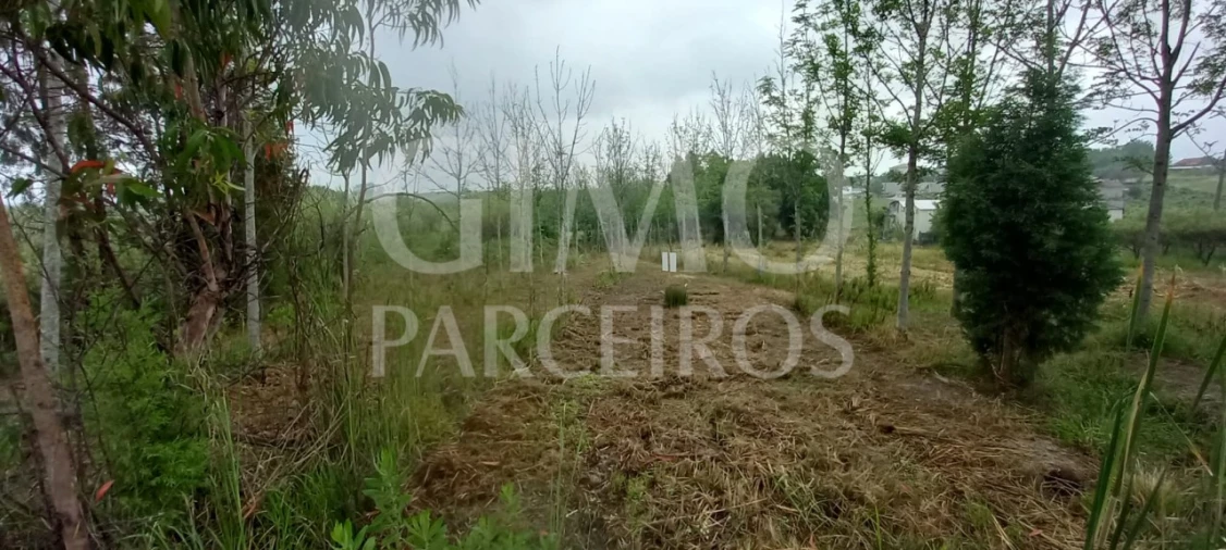 Terreno para Venda em Amoreira da Gândara, Paredes do Bairro e Ancas Foto 1