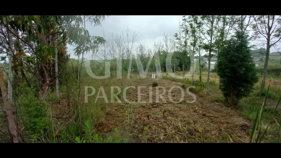 Terreno para Venda em Amoreira da Gândara, Paredes do Bairro e Ancas