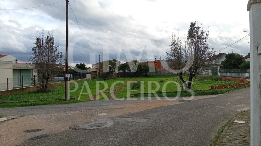 Terreno para Venda em Oiã Foto 3