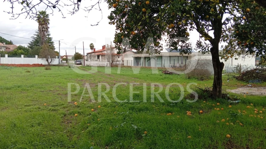 Terreno para Venda em Oiã Foto 7