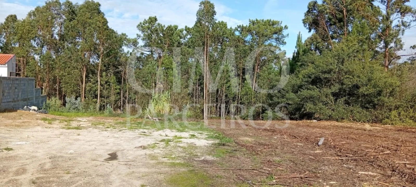 Terreno para Venda em Oiã Foto 4