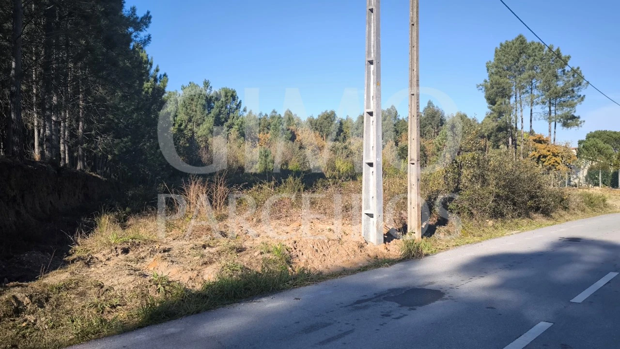 Terreno para Venda em Oliveira do Bairro Foto 1