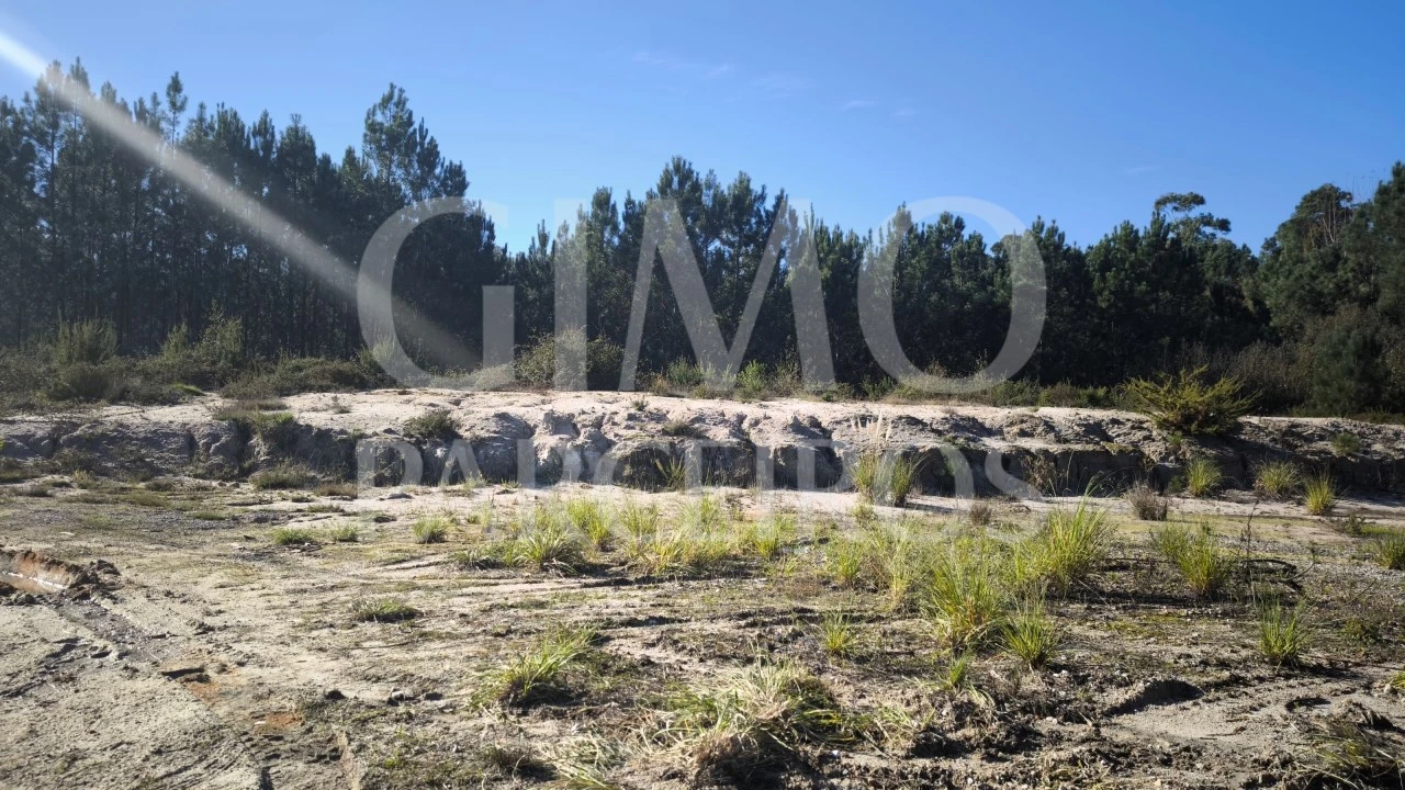 Terreno para Venda em Oliveira do Bairro Foto 7