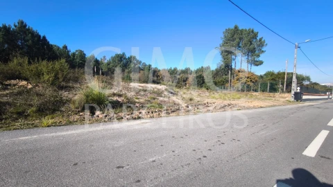 Terreno para Venda em Oliveira do Bairro