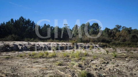 Terreno para Venda em Oliveira do Bairro