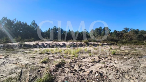 Terreno para Venda em Oliveira do Bairro