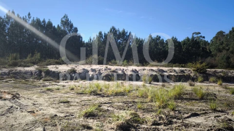 Terreno para Venda em Oliveira do Bairro