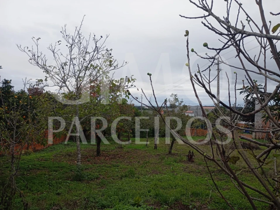 Terreno para Venda em Requeixo, Nossa Senhora de Fátima e Nariz Foto 3
