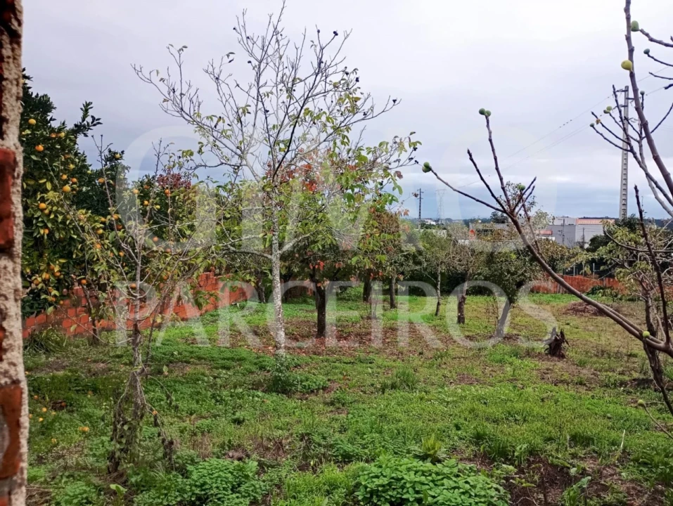 Terreno para Venda em Requeixo, Nossa Senhora de Fátima e Nariz Foto 4