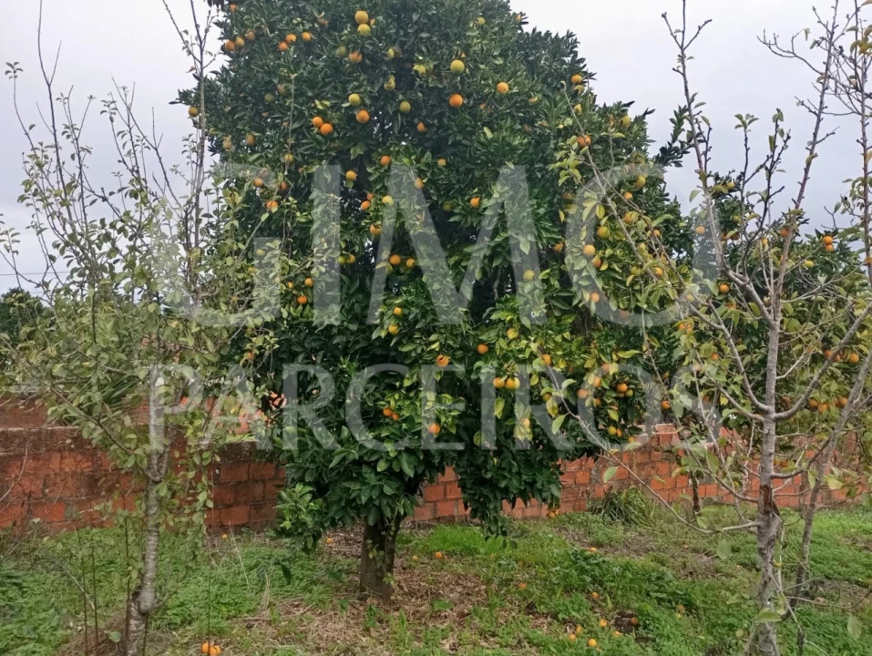 Terreno para Venda em Requeixo, Nossa Senhora de Fátima e Nariz Foto 5