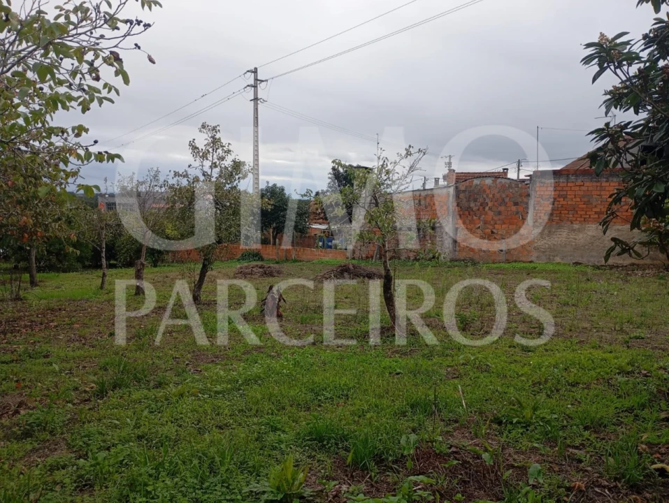 Terreno para Venda em Requeixo, Nossa Senhora de Fátima e Nariz Foto 8